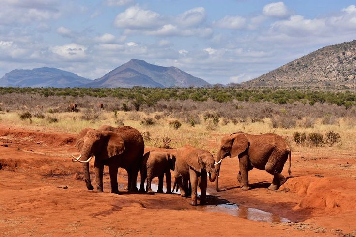 Tsavo 6